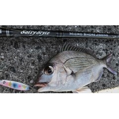 Abu Garcia Salty style microshore jigging SMJS-962UL-KR