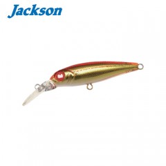 Jackson Py SHAD