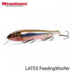 Megabass Lates Feeding Woofer