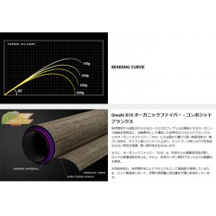 メガバス　デストロイヤー　オロチX10　F2.1/2st-67XT　Megabass OROCHI X10