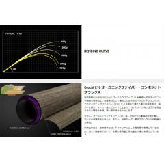 メガバス　デストロイヤー　オロチX10　F5.1/2-69XT　Megabass OROCHI X10