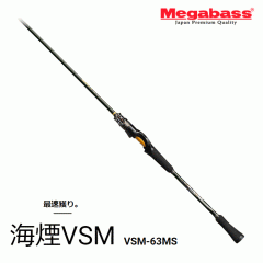 Megabuss KAIEN VSM VSM-63MS