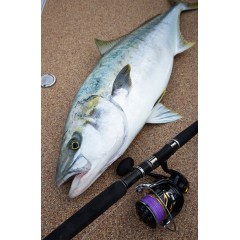 VARIVAS Casting PE SMP Amberjack X8 300m No. 6