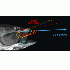 【全4色】ジャッカル　アナーキー　スタンダードラバー