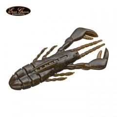 Evergreen Craw Motion