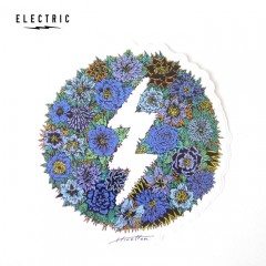 ELECTRIC HIROTTON COLLABO STICKER BOTANICAL A M