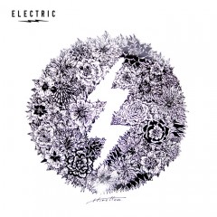 ELECTRIC HIROTTON COLLABO STICKER BOTANICAL B L