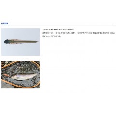 GLOBERIDE　DAIWA　SILVER CREEK VIB 50S