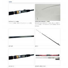 DAIWA ANALYSTAR73 30-265・Q