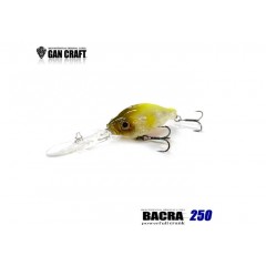 ガンクラフト　バクラ　250　GANCRAFT　BACRA　250　【1】