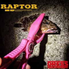 ドレス　フィッシュグリップ　ディノグリップラプター　DRESS　DINO GRIP RAPTOR　