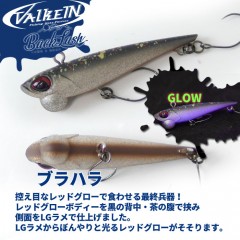 Valkein Shine Ride S Backlash Custom Color 2024