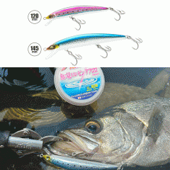 DUEL AILE Magnet TG Minnow Slim 120F