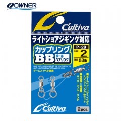 Owner P-29 Coupling BB