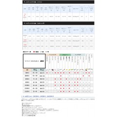 シマノ　20ワールドシャウラBG　2952R-3　SHIMANO　WORLD SHAULA BG