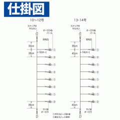 Hayabusa SS090 Practical Sabiki White-haired Aurora 8 hooks No. 10-13