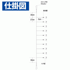 ☆ハヤブサ　SS092　実戦サビキ　ハゲ皮　10本鈎　Hayabusa　