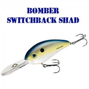 BOMBER/ボーマーSWITCHBACK SHAD/スイッチバックシャッド