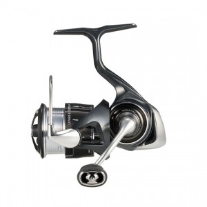 Daiwa 24 Luvias LT2000S-P