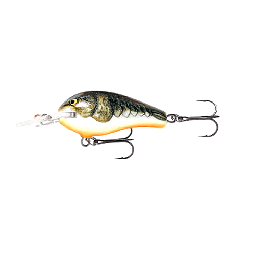 ラパラ ジャイアントルアー 75cm レプリカ RaPaLa Giant Lure Replica of Original Floater :  giantlure75rapala : 中村志郎商店 - 通販 - Yahoo!ショッピング