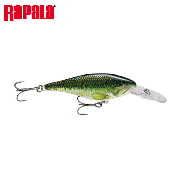 Rapala SHAD RAP SR7 - 【Bass Trout Salt lure fishing web order