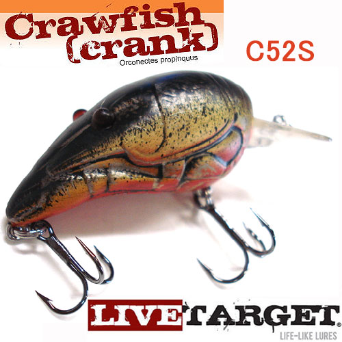 Live Target ライブターゲット クロウフィッシュ クランク C52s バス ソルトのルアーフィッシング通販ショップ Backlash バックラッシュ Japanese Fishing Tackle ルアー 釣具通販