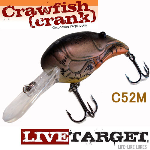 Live Target ライブターゲット クロウフィッシュ クランク C52m バス ソルトのルアーフィッシング通販ショップ Backlash バックラッシュ Japanese Fishing Tackle ルアー 釣具通販