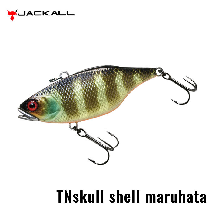 JACKALL TN70 SKULL SHELL MARUHATA SOUND - 【Bass Trout Salt lure fishing web  order shop】BackLash｜Japanese fishing tackle｜