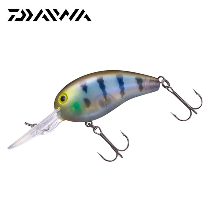 DAIWA Moonlight Beauty Miojiwei R - 【Bass Trout Salt lure fishing web order  shop】BackLash｜Japanese fishing tackle｜