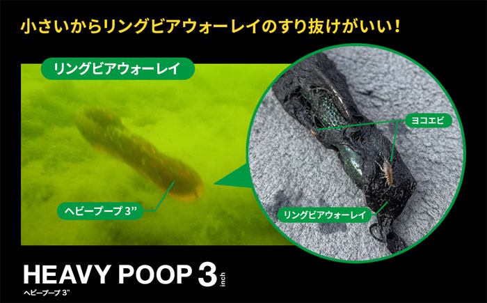 Fish Arrow Heavy Poop 3.6