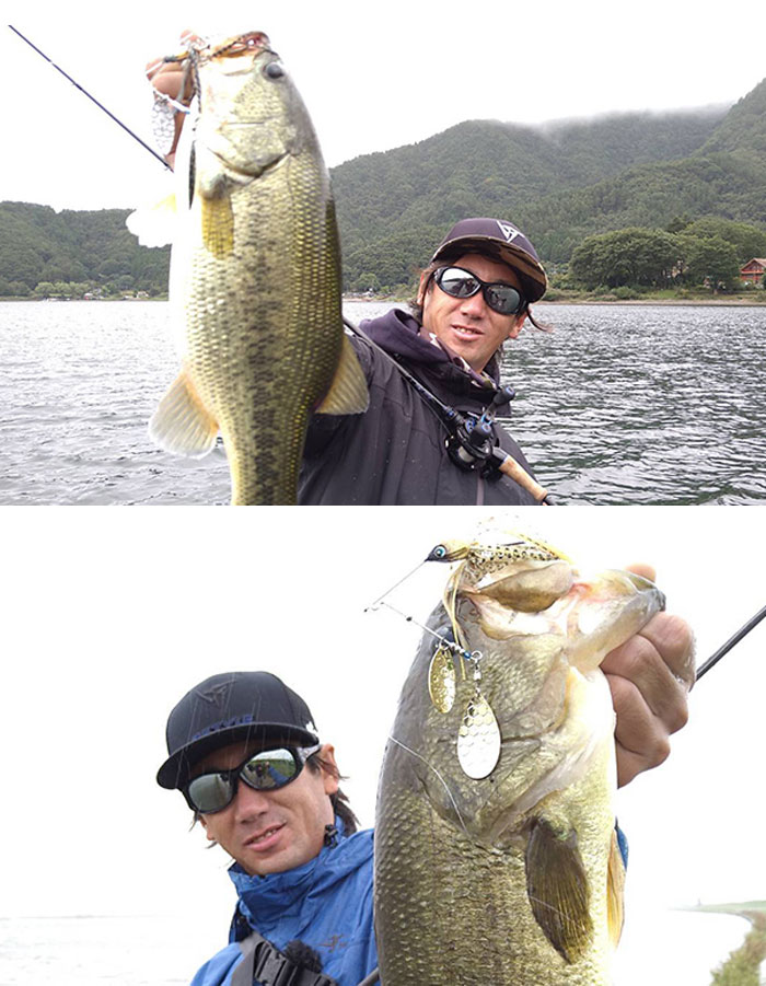 ディスタイル ディーアルファ ダブルインディアナブレード D STYLE Da-Spinner Bait DI -  【バス＆ソルトのルアーフィッシング通販ショップ】BackLash／バックラッシュ｜Japanese fishing tackle｜ルアー/釣具通販