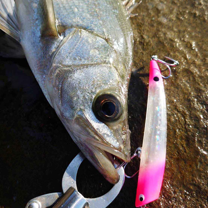 Go Phish TKLM 120 GP - 【Bass Trout Salt lure fishing web order
