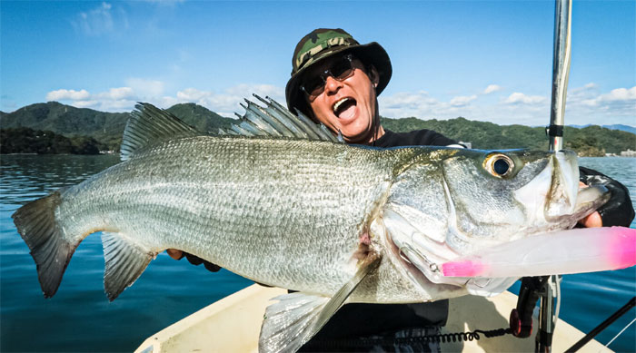 APIA MEGASOUL C73H+ - 【Bass Trout Salt lure fishing web order
