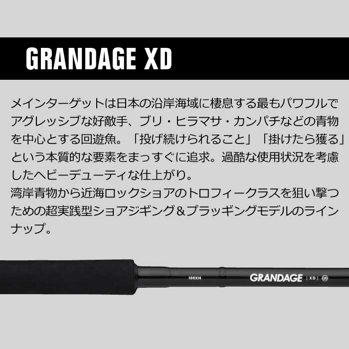 アピア グランデージXD 93JS APIA GRANDAGE - 【バス＆ソルトのルアー 