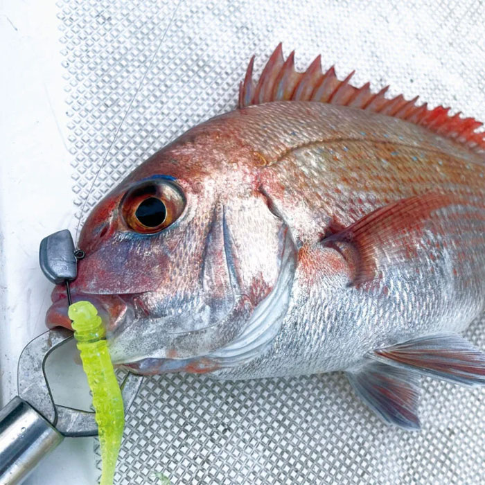 MAGBITE MD head MB11 jig head - 【Bass Trout Salt lure fishing web order  shop】BackLash｜Japanese fishing tackle｜