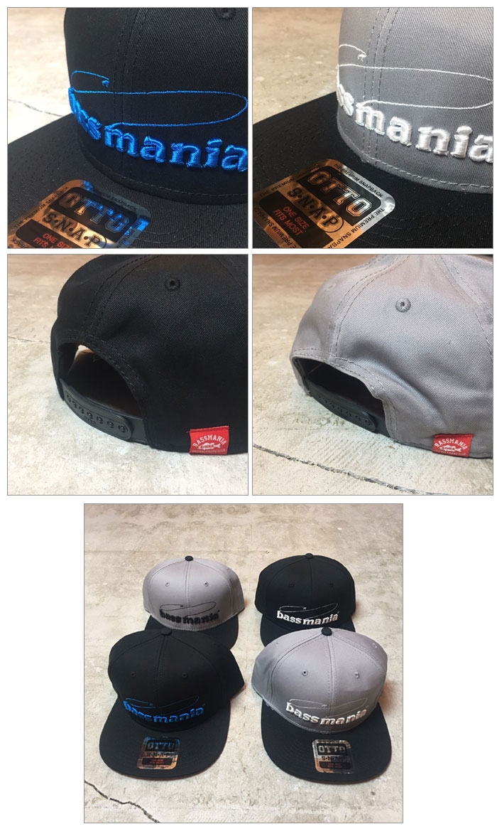 バスマニア 3Dロゴ刺繍フラットキャップ bassmania 3D logo flat cap