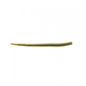 Gulp　Saltwater　 Isome　 Futomi　 4inch