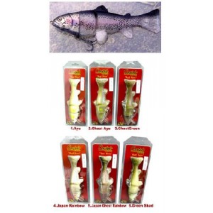 Castaic Real Bait キャスティーク リアルベイト 6inch（スロー