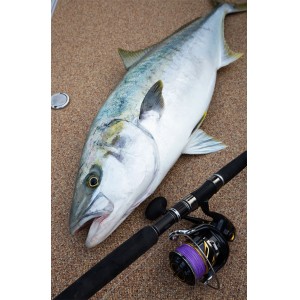 【ClearanceSale】 Varivas Avani Casting PE SMP Hiramasa Tune X8 200m No. 5