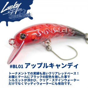 Lucky Craft Wow 40F Backlash Custom Color