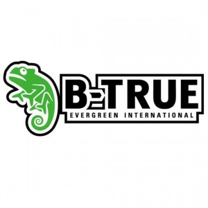 エバーグリーン　ビートゥルー　ボートデッキステッカー　　B-TRUE　