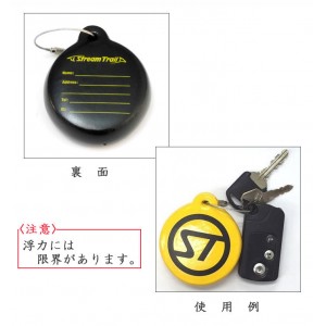 Stream trail Floating key chain