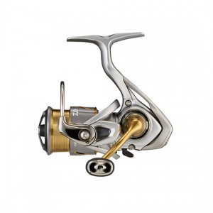 Daiwa 21 FREAMS FC LT1000S