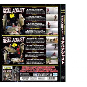 [DVD] Meiko Tsushinsha  deps Style Premium 3 Big Bus Strategy Method  Real Adjust  2 Discs + dpes News