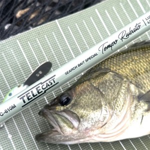 Legit Design Telecast TC-610M Search Bait Special Tempo Rubato