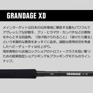 APIA GRANDAGE XD 93JS グランデージ　アピア