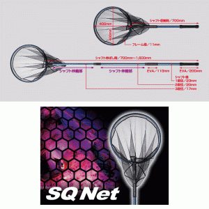 GoldenMean SQ Net