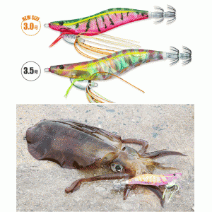 DUEL Ebi Q No. 3.0 