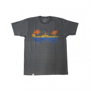 【決算セール】 ワイルドフィンズ　New PALM TEE　WILDFINS