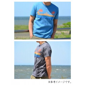 【決算セール】 ワイルドフィンズ　New PALM TEE　WILDFINS